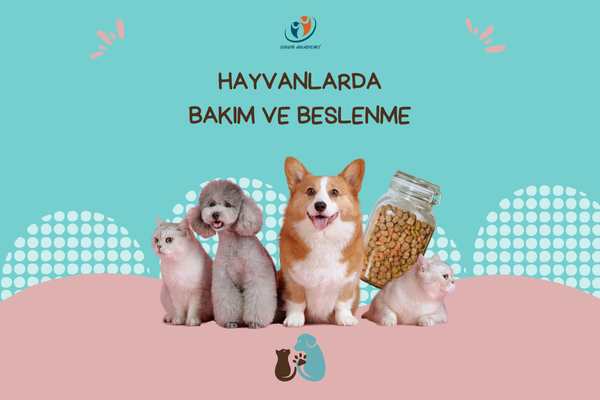 Hayvanlarda Bakım Ve Beslenme Eğitimi